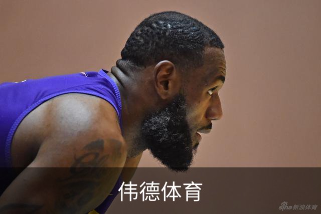 伟德体育公司简介